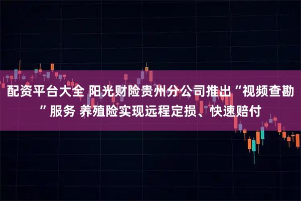 配资平台大全 阳光财险贵州分公司推出“视频查勘”服务 养殖险实现远程定损、快速赔付